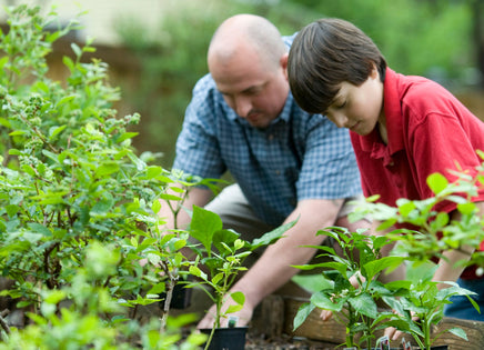 Example advert 1-image